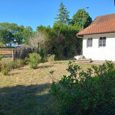Charming Garden House